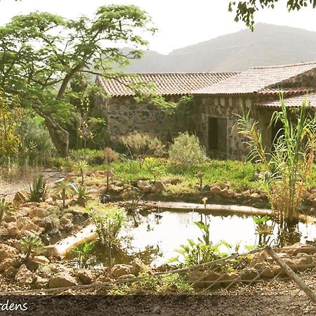 סן מיגל דה אבונה Live Finca San Miguel מראה חיצוני תמונה