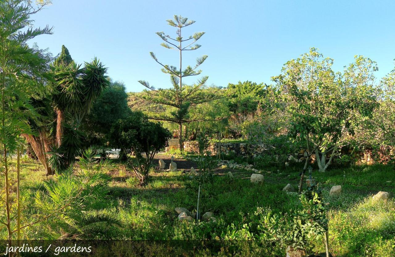סן מיגל דה אבונה Live Finca San Miguel מראה חיצוני תמונה